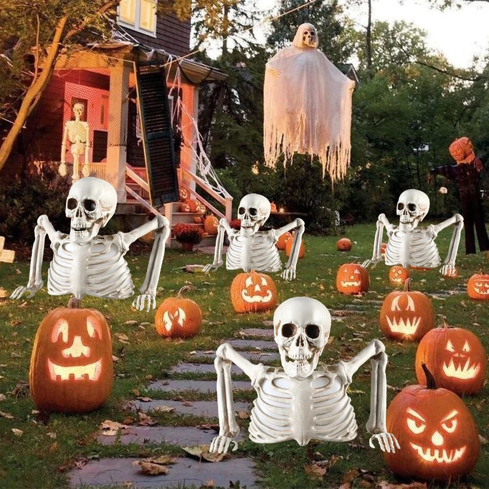 Halloween Glowing Skull Skeleton Human Head