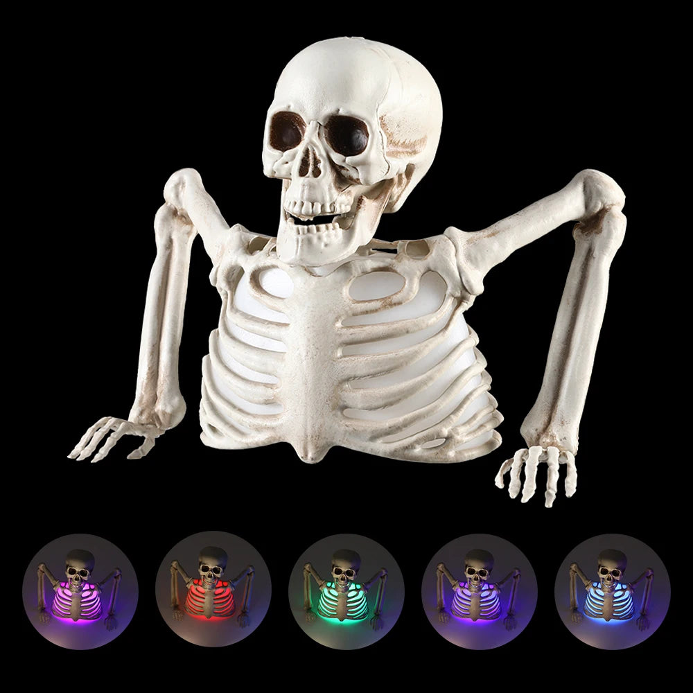 Halloween Glowing Skull Skeleton Human Head